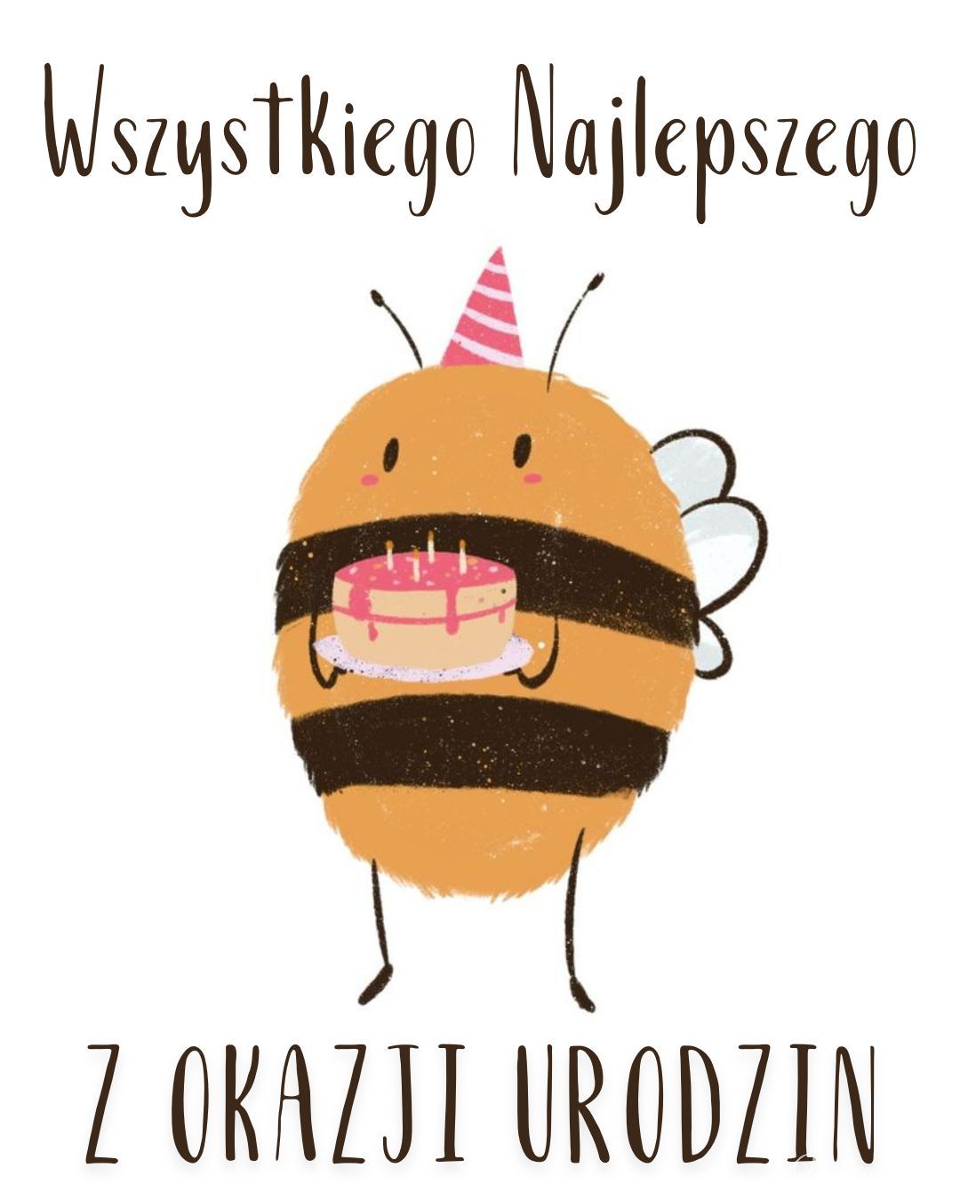 Funny Polish Birthday Card
