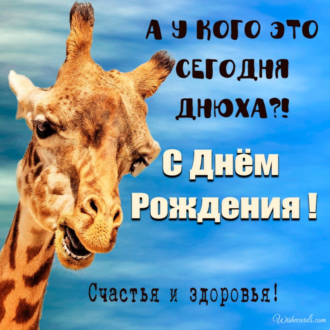 Funny Russian Birthday Card