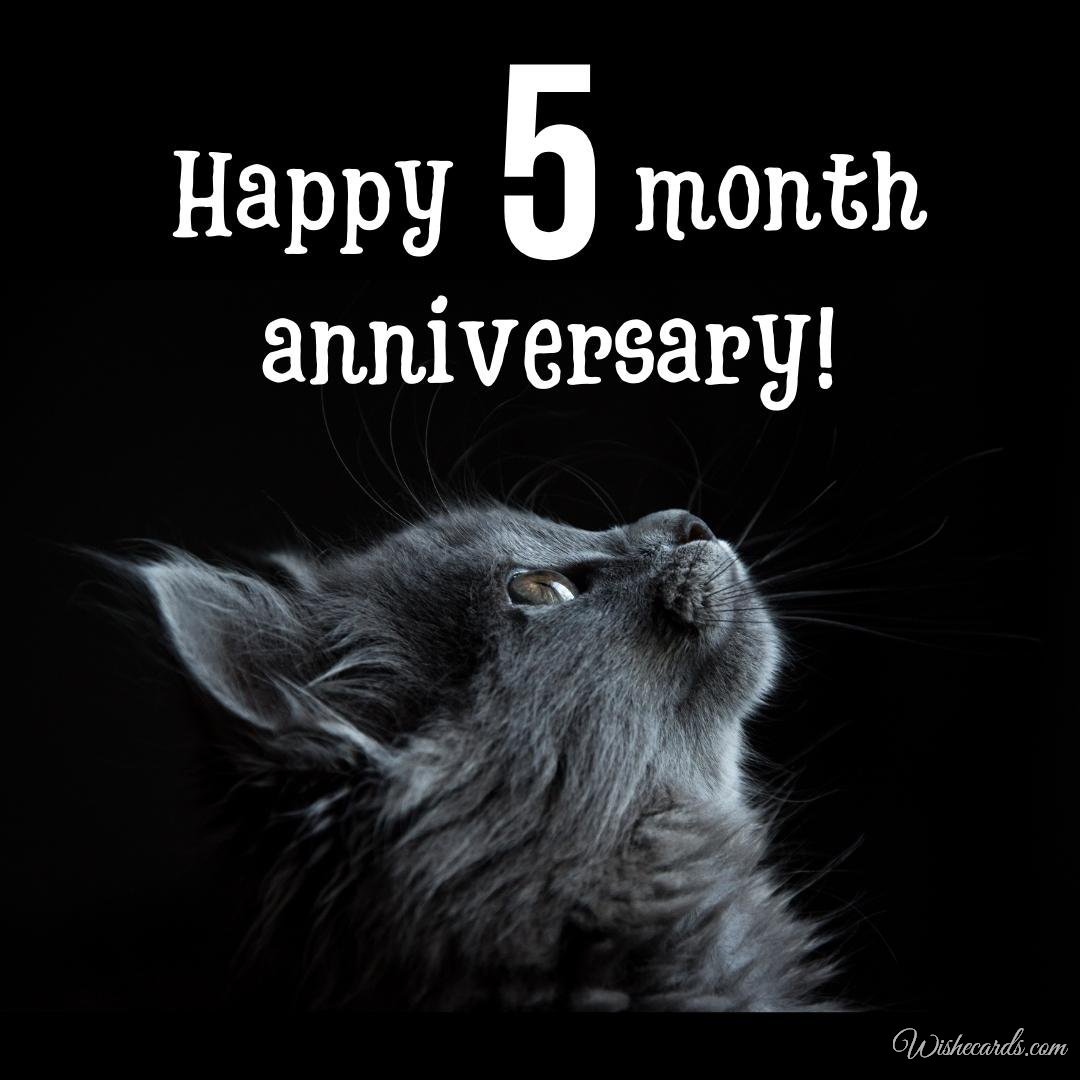 Funny Virtual 5 Month Anniversary Image