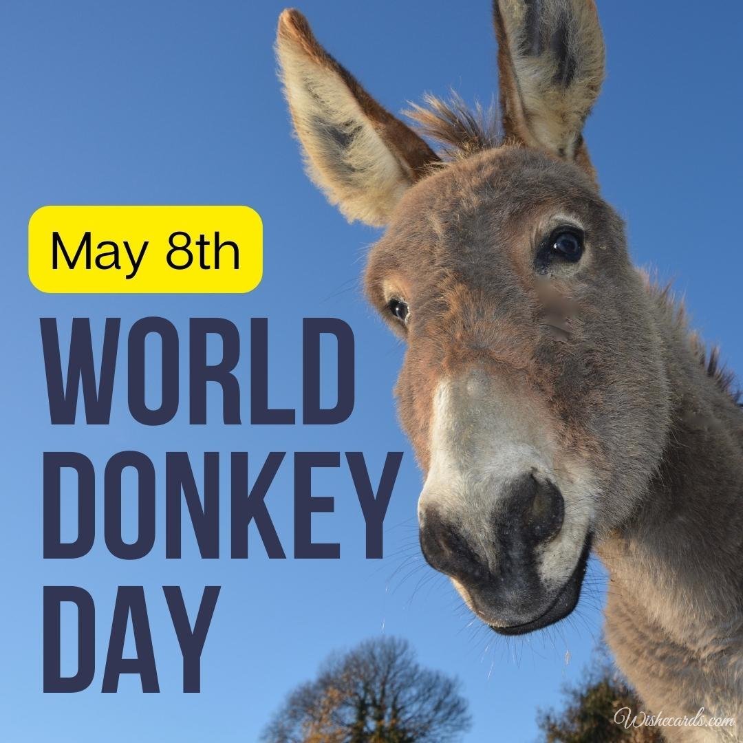 Funny World Donkey Day Ecard