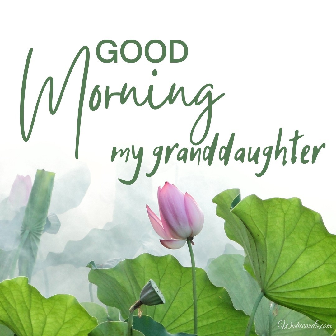 Good Morning Granddaughter Image