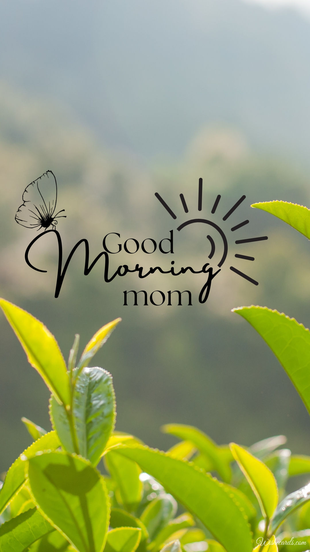 Good Morning Image for Mother