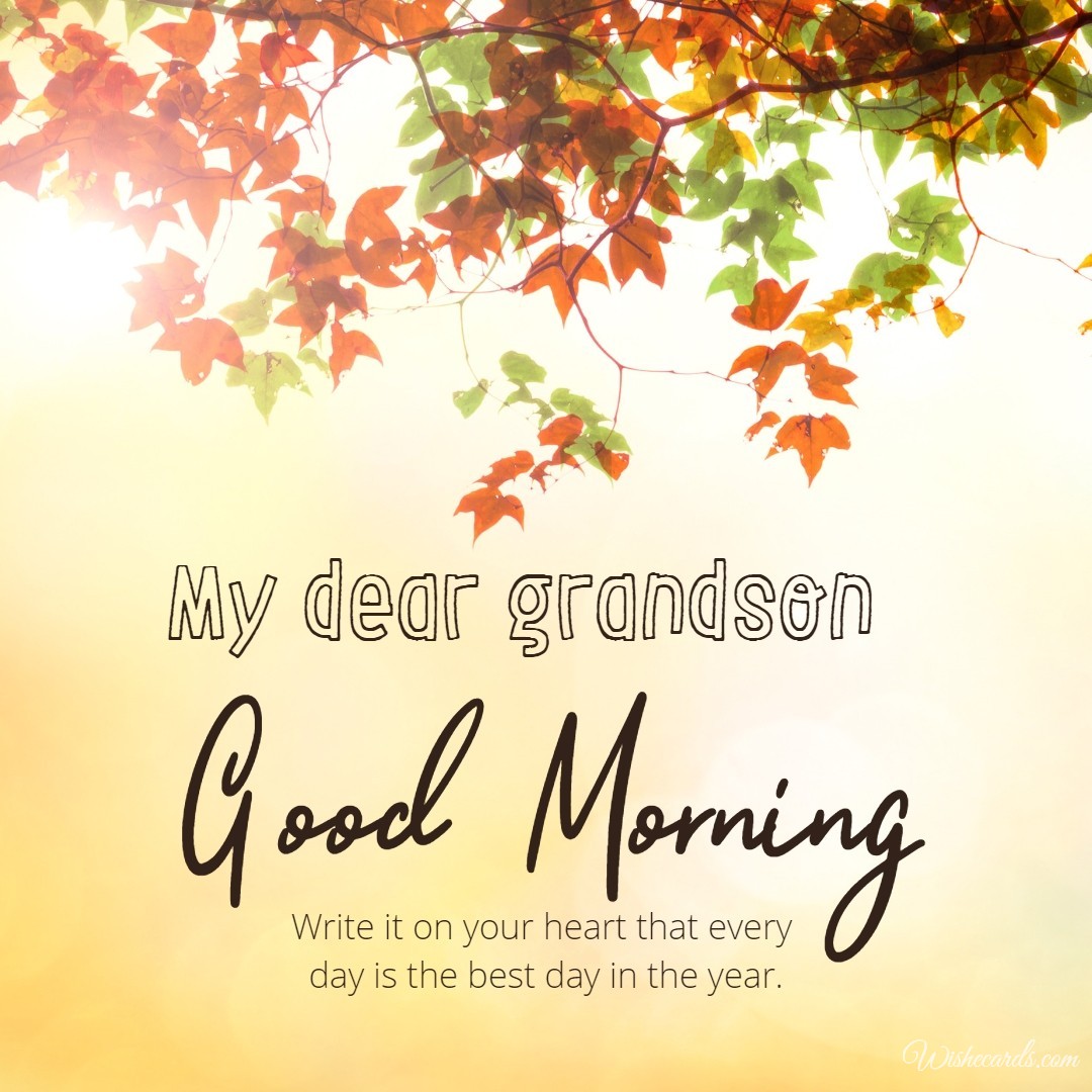 Good Morning My Dear Grandson