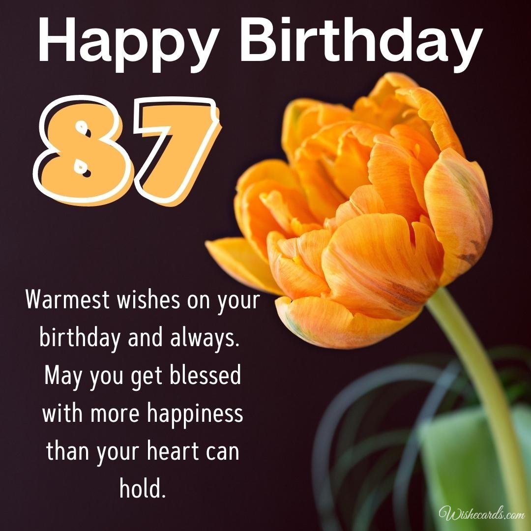 Happy 87th Birthday Card