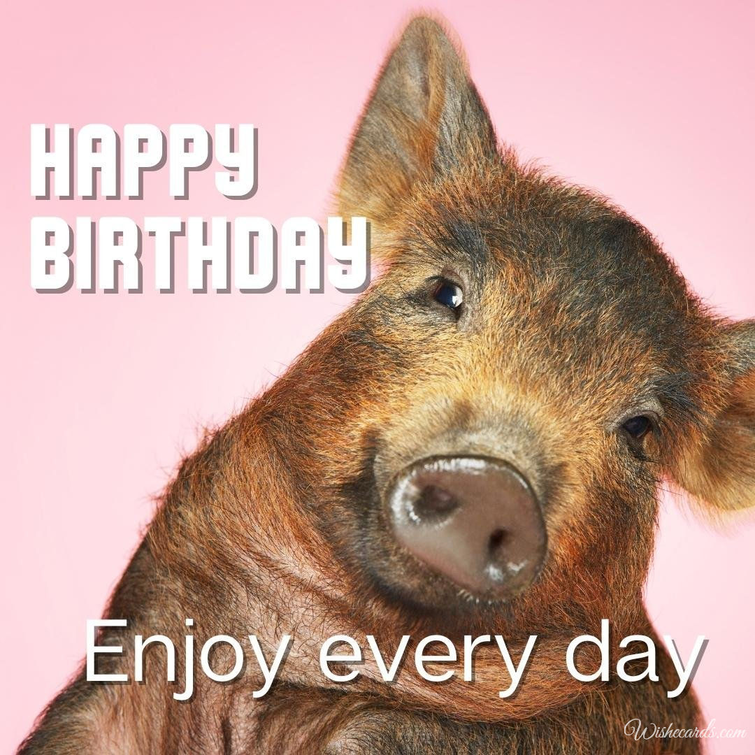 Happy Bday Ecard With Pig