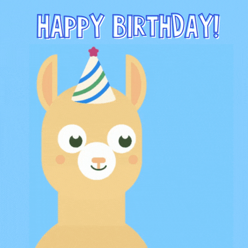 Happy Birthday Alpaca Gif