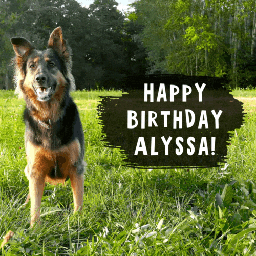 Happy Birthday Alyssa Gif