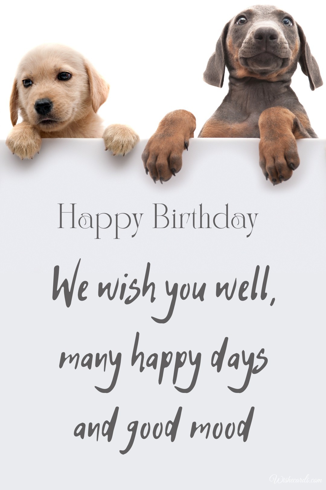 Happy Birthday Card For Woman With Dog