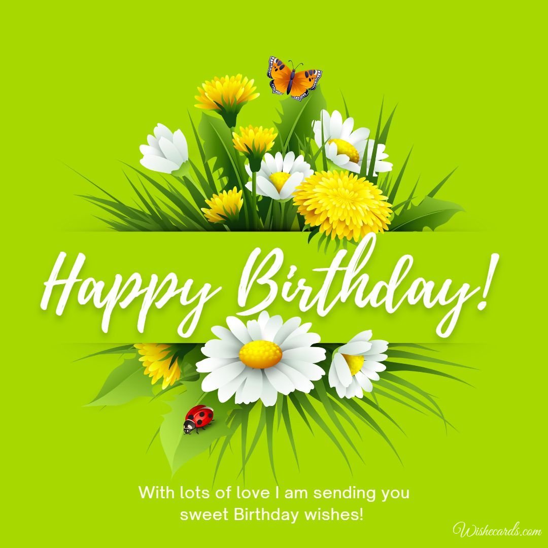 Happy Birthday Card with Beautiful Flowers Daisies