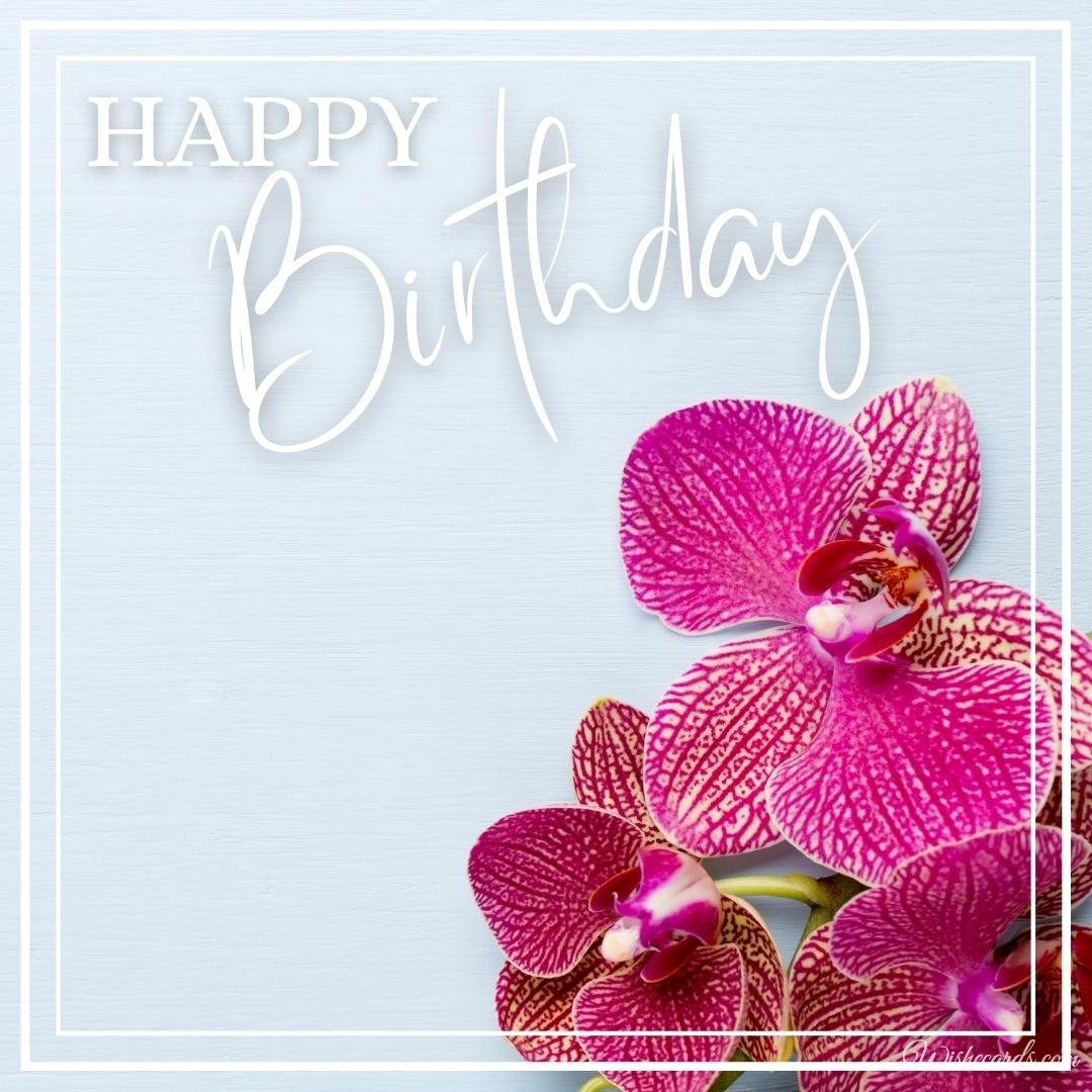 Happy Birthday Card with Flowers Orchids