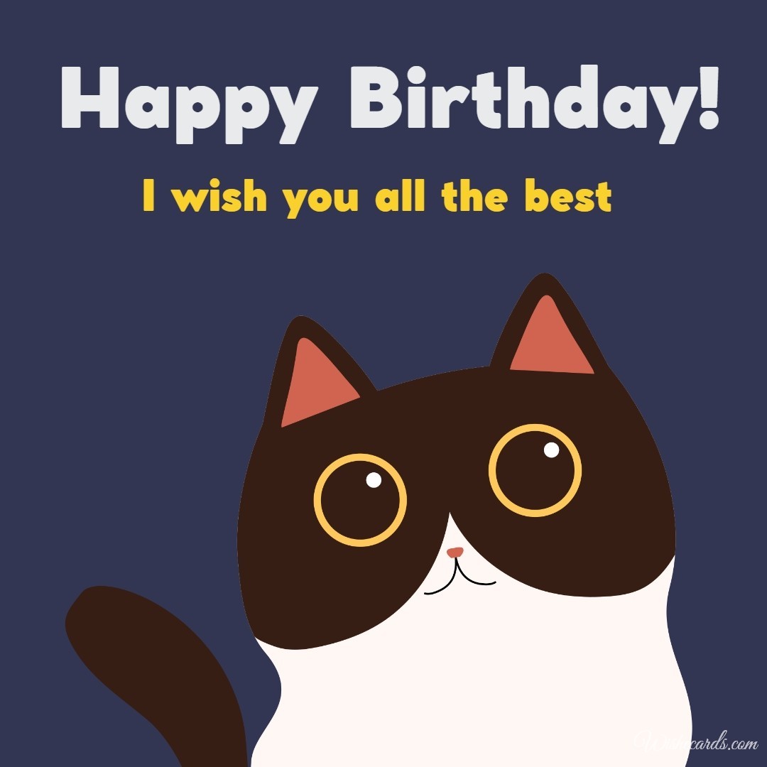 Happy Birthday Digital Card For Woman With Cat