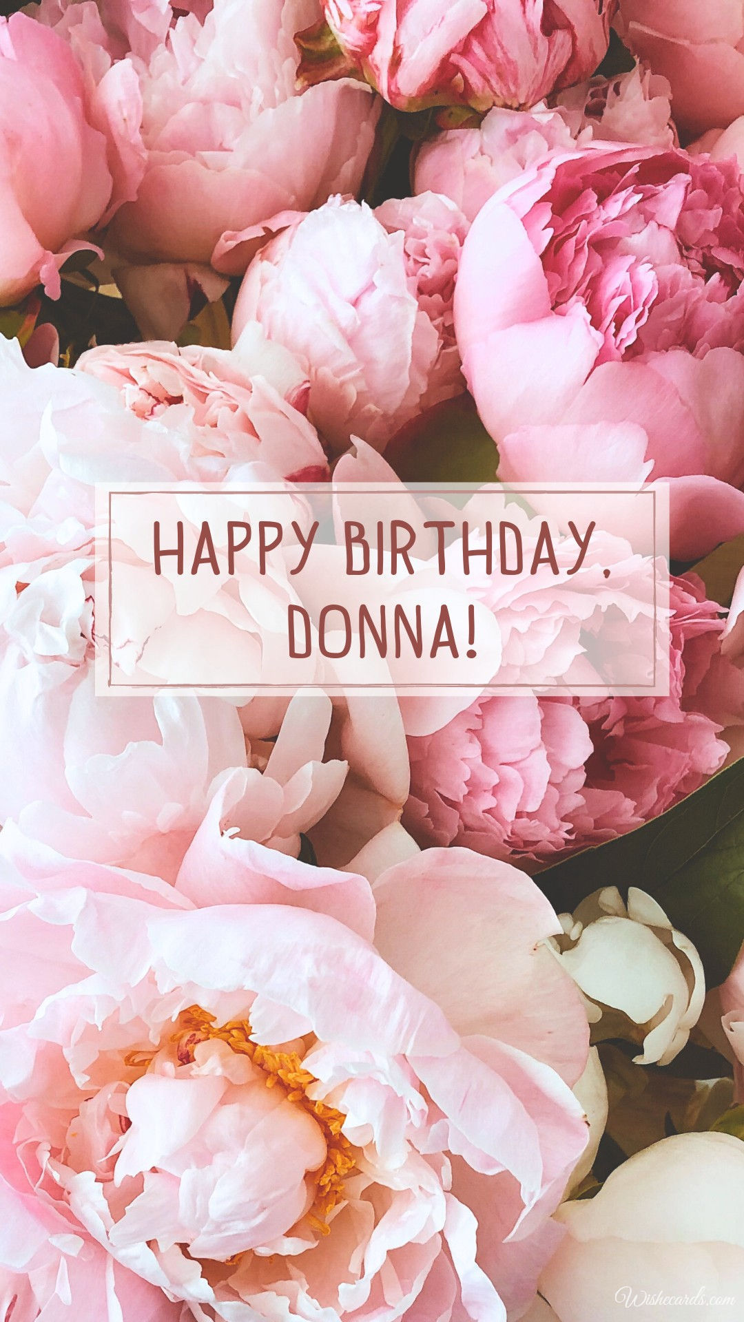 Happy Birthday Donna Image