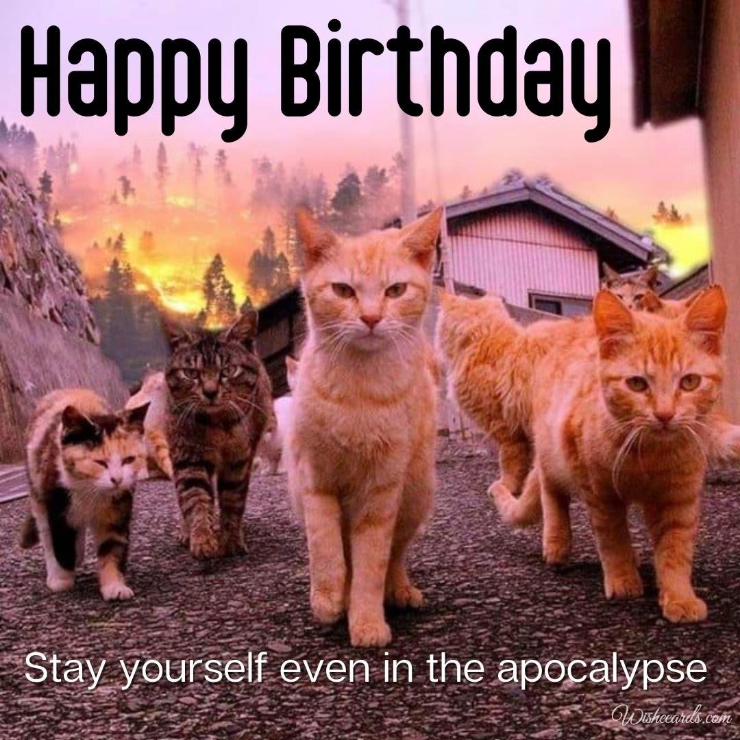 Happy Birthday Ecard with Cats