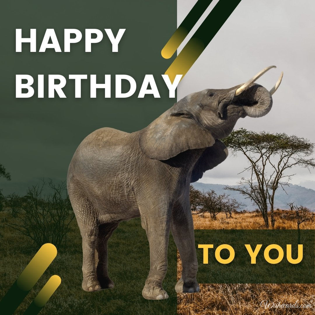 Happy Birthday Ecard With Elephant