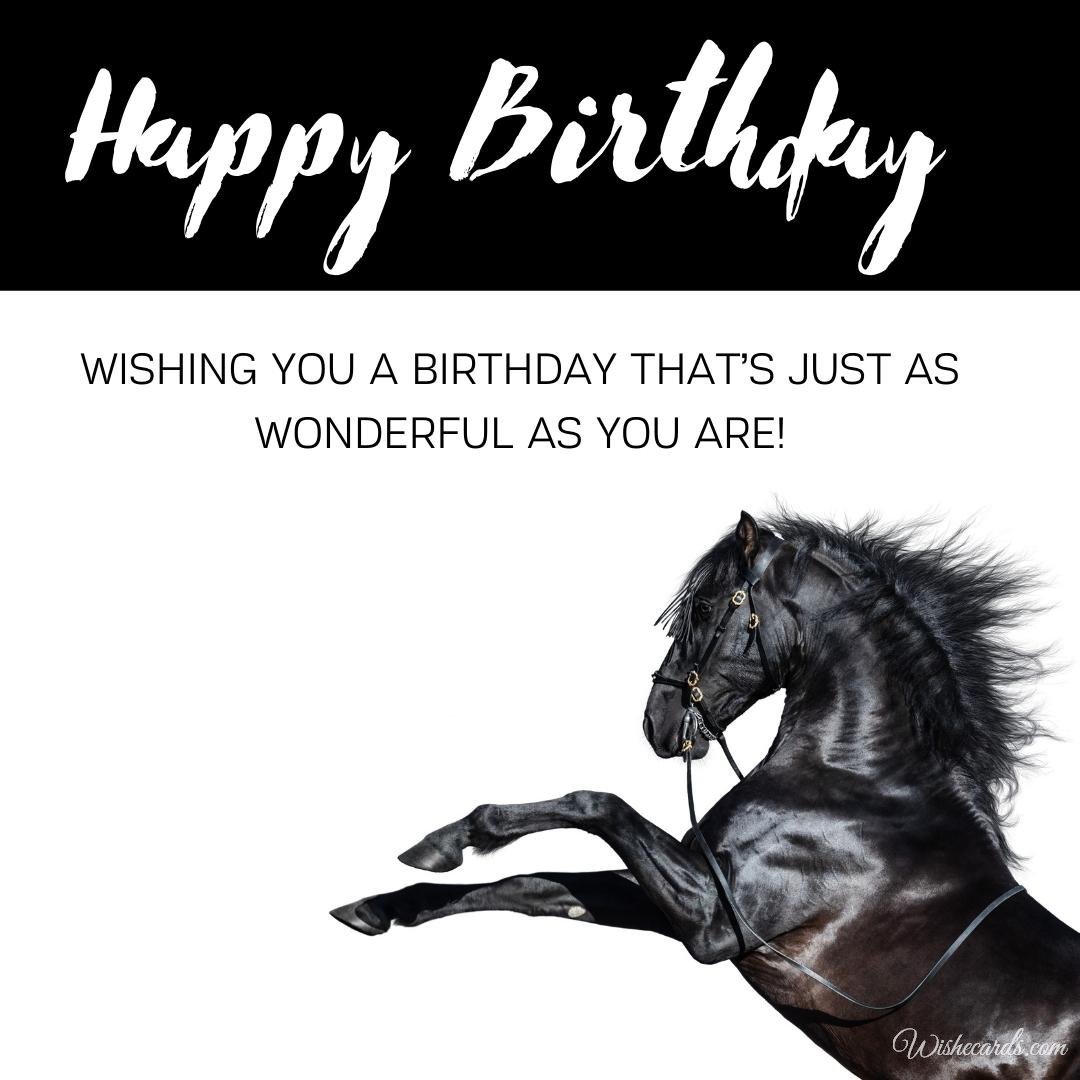 Happy Birthday Ecard With Horse