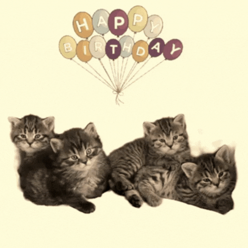 Happy Birthday Gif with Cats