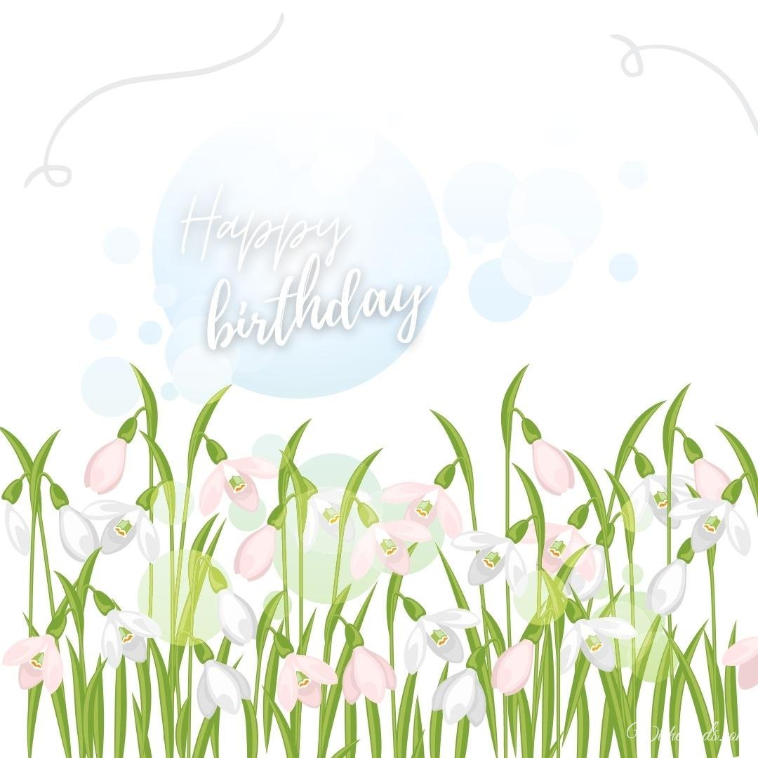 Happy Birthday Greeting Card With Snowdrops