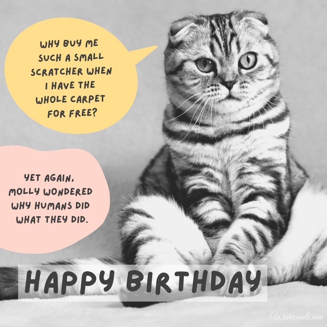 Happy Birthday Image For Woman With Cat
