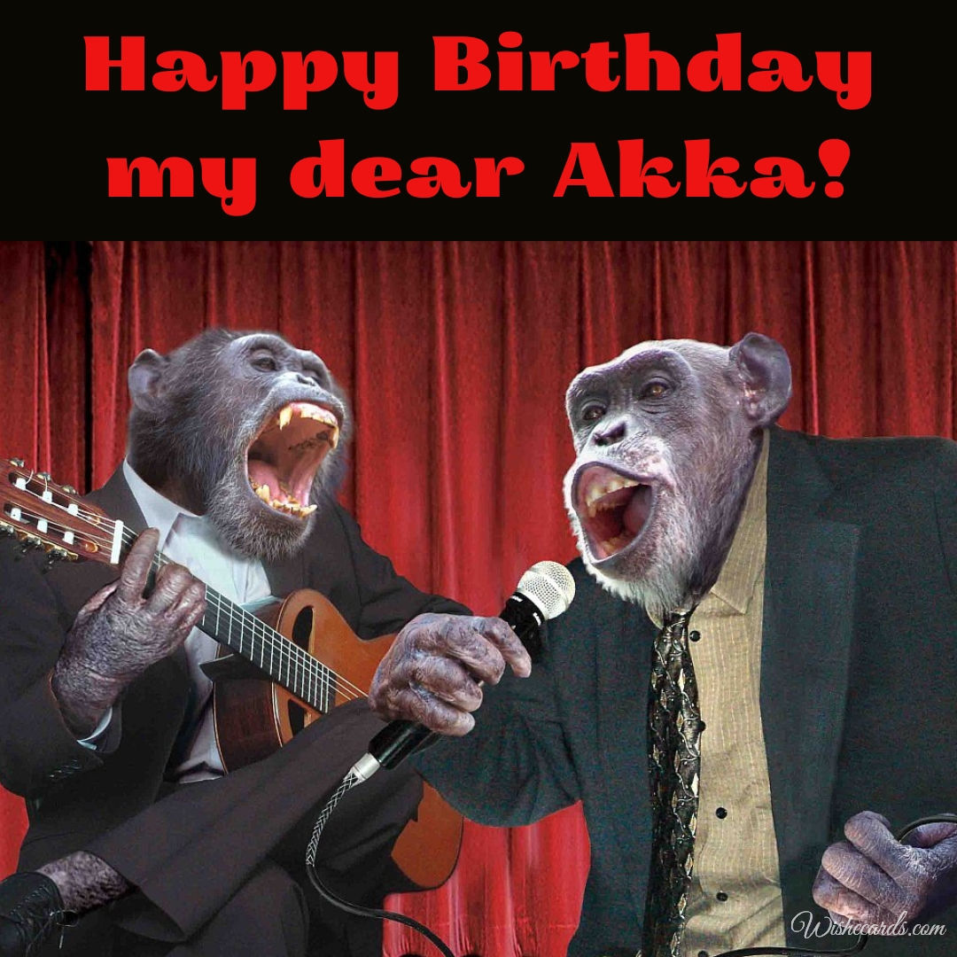 Happy Birthday My Dear Akka