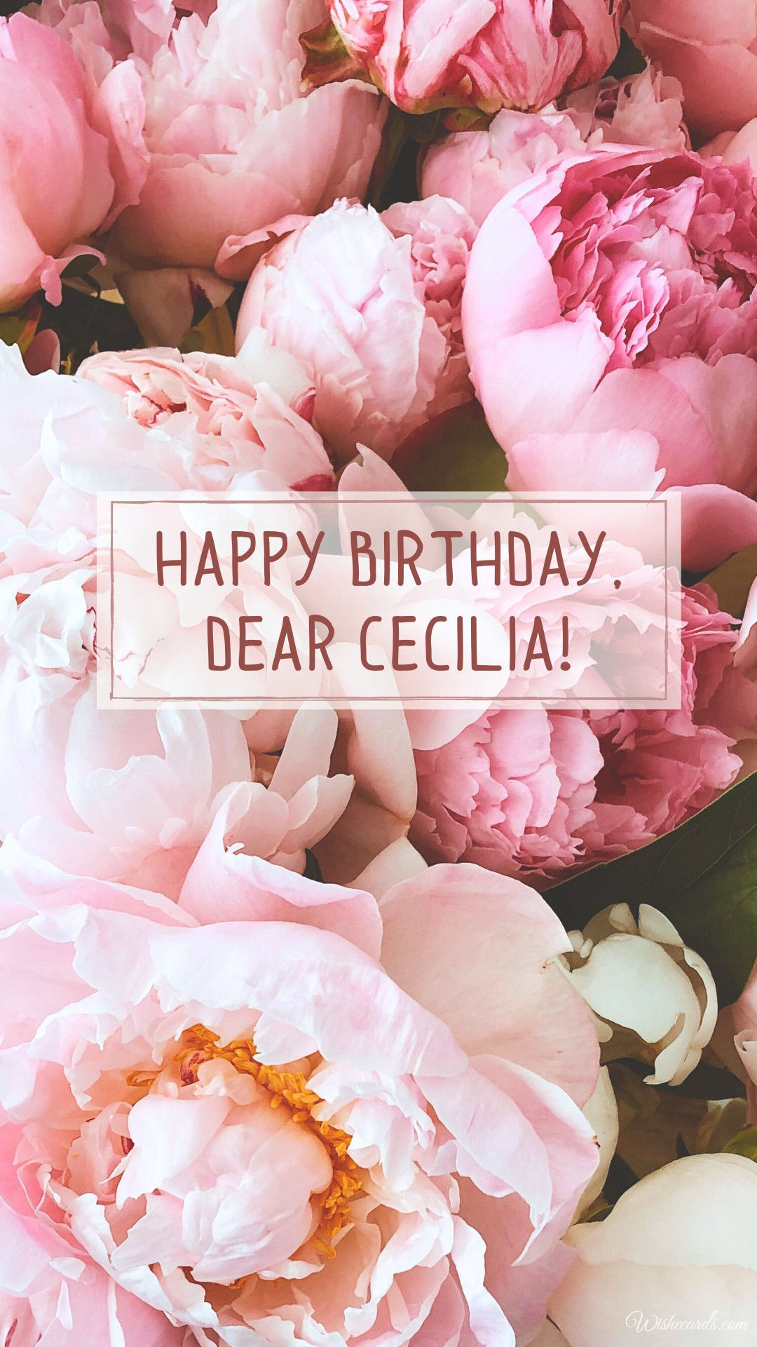 Happy Birthday to Cecilia