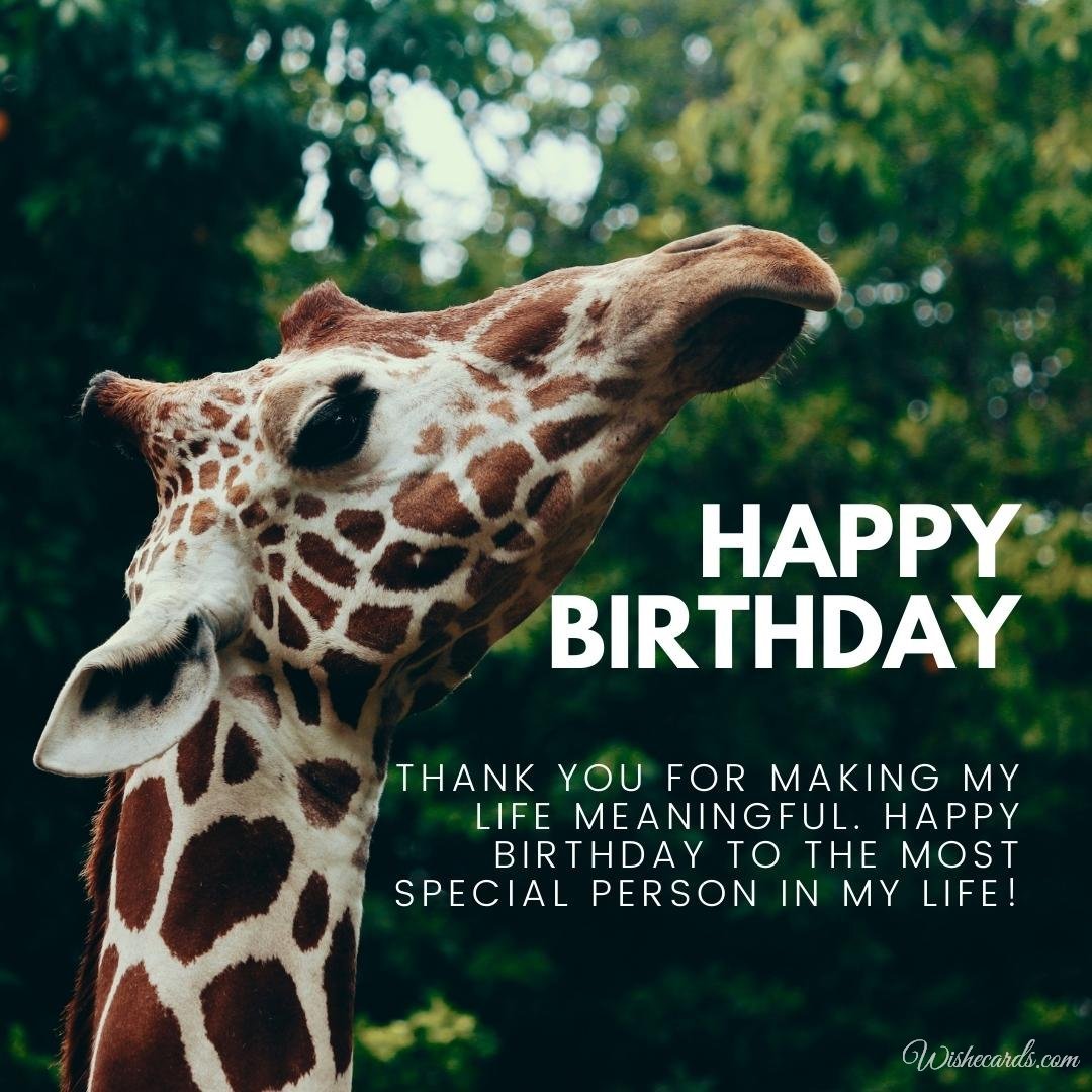 Happy Birthday Wish Ecard with Giraffe