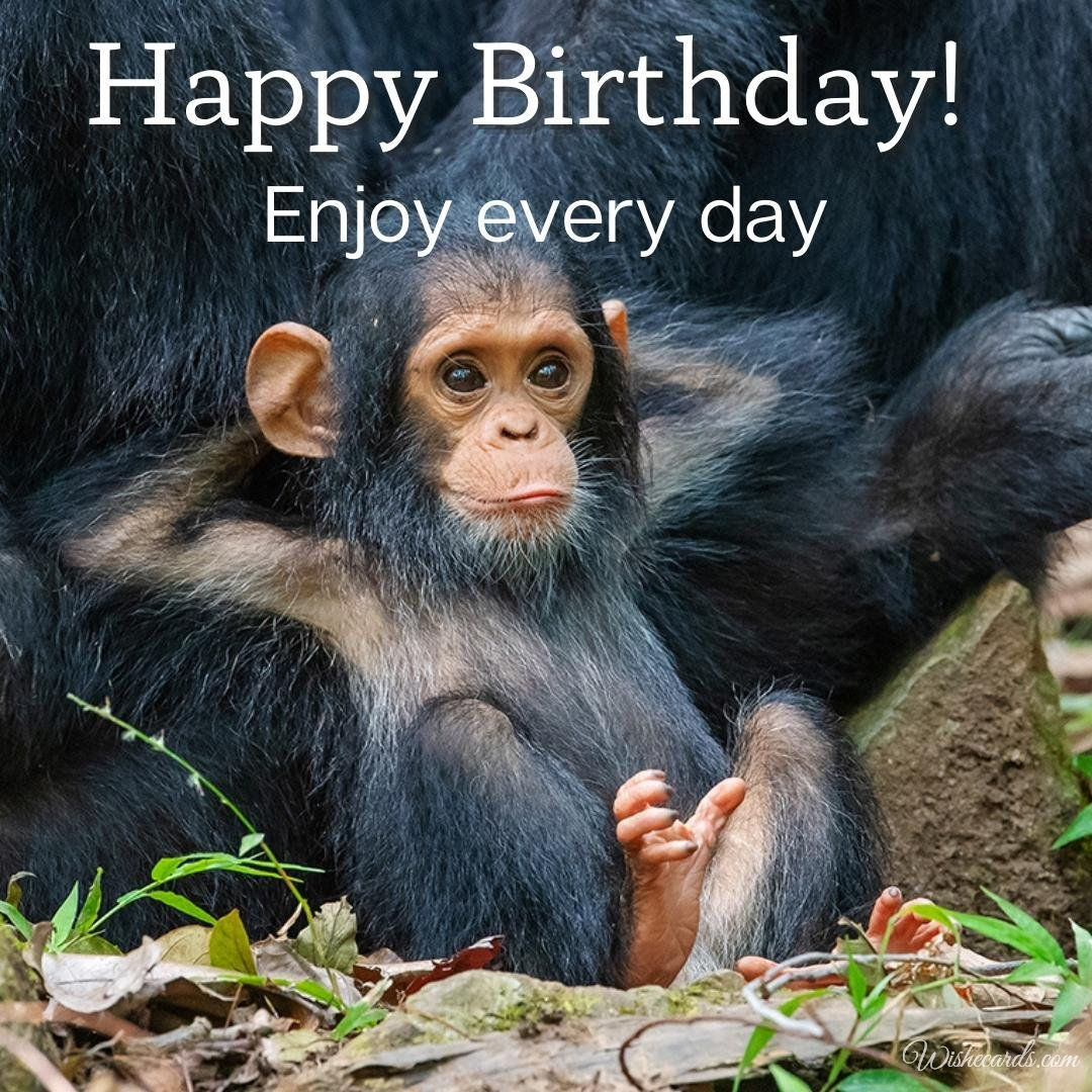 Happy Birthday Wish Ecard With Monkey