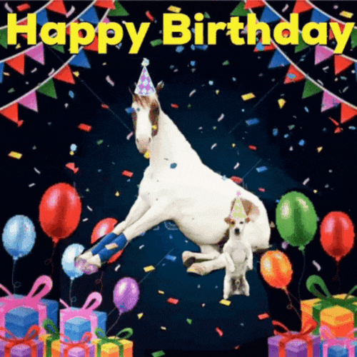 Happy Birthday You Filthy Animal Card