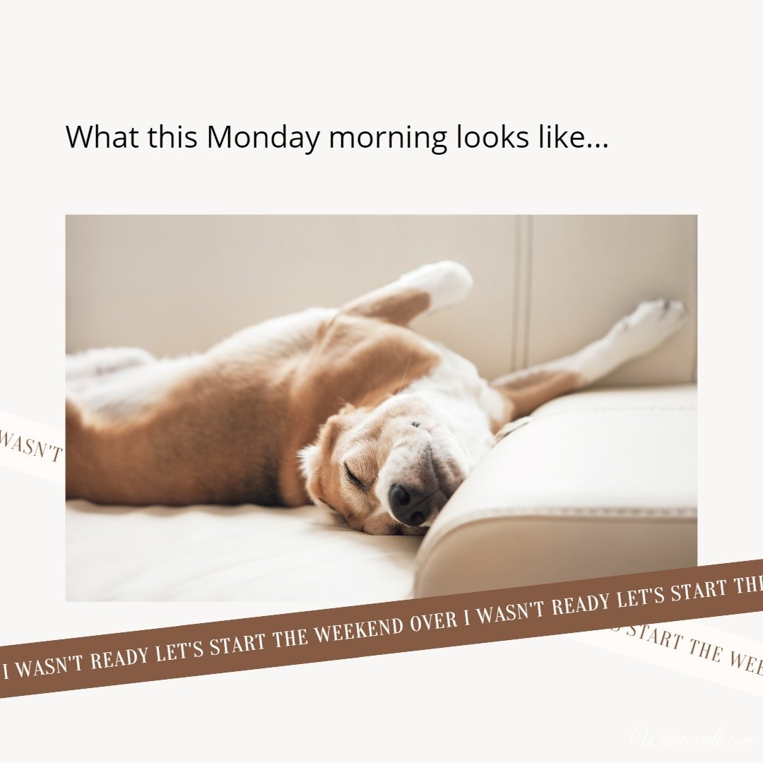 Happy Monday Funny Virtual Image