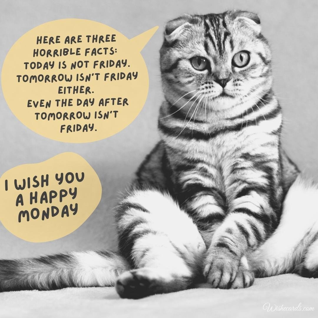 Happy Monday Funny Wishes Card