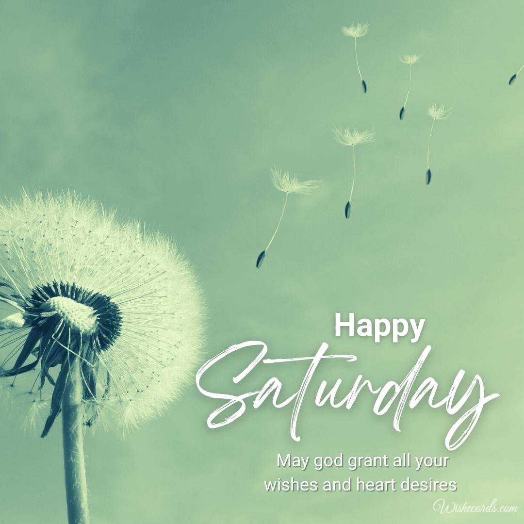 Happy Saturday Beautiful Image with Text