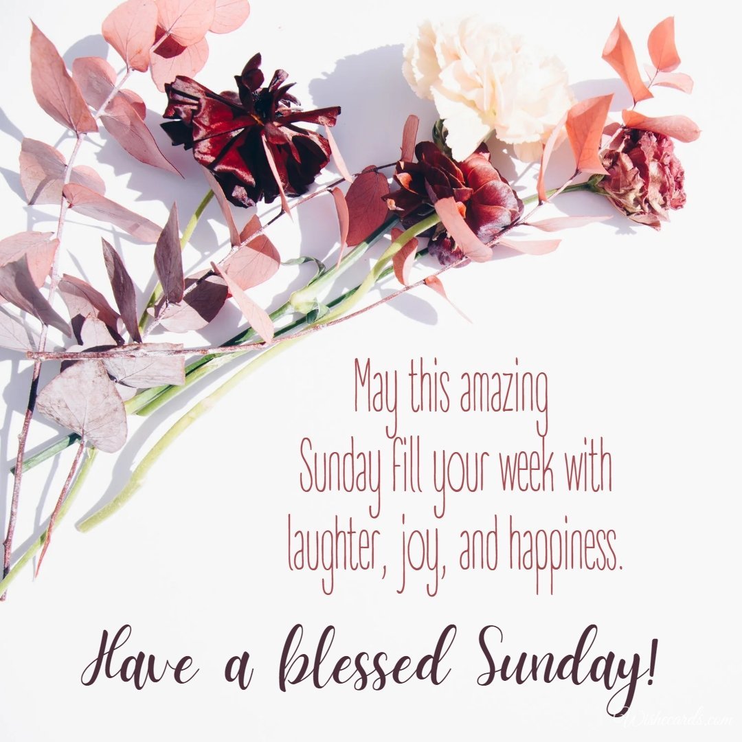 Happy Sunday Beautiful Electronic Card