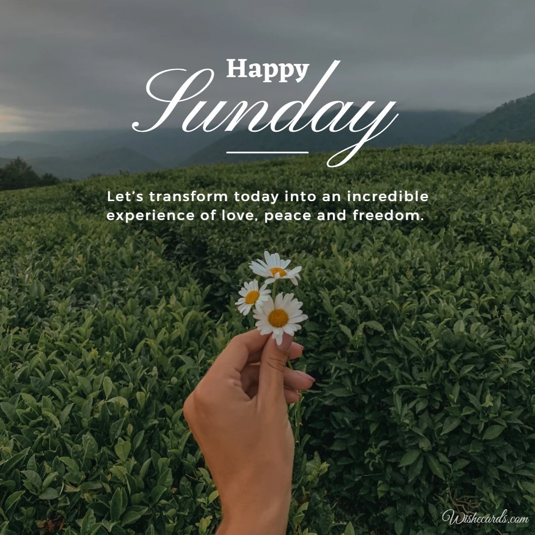 Happy Sunday Cool Image with Text