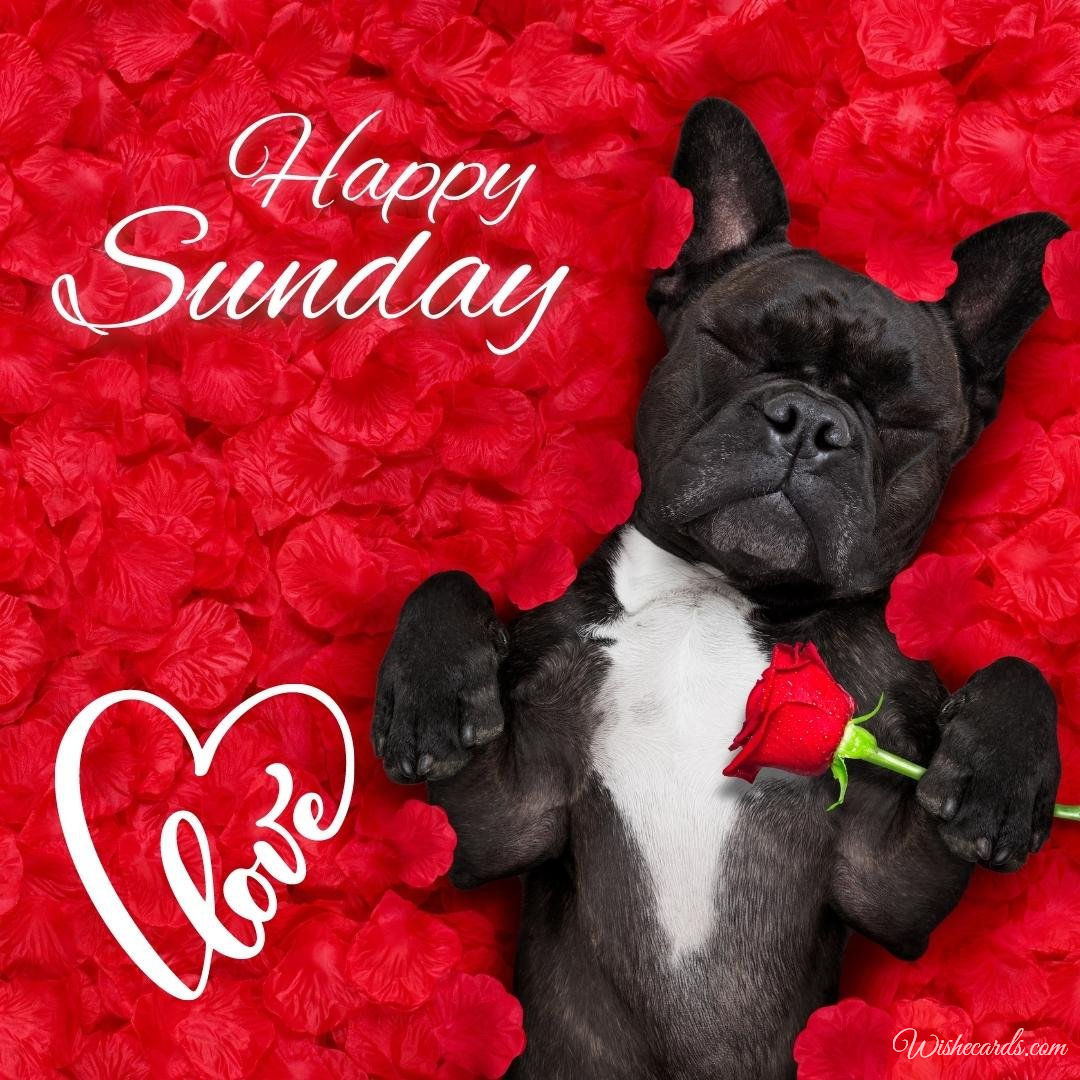 Happy Sunday Virtual Romantic Image
