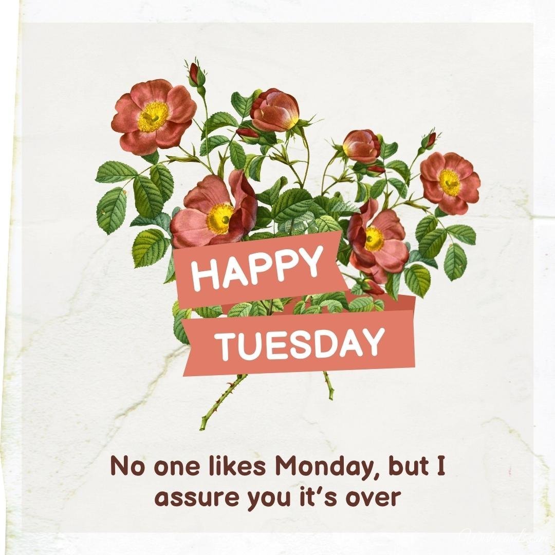 Happy Tuesday Beautiful Picture with Text