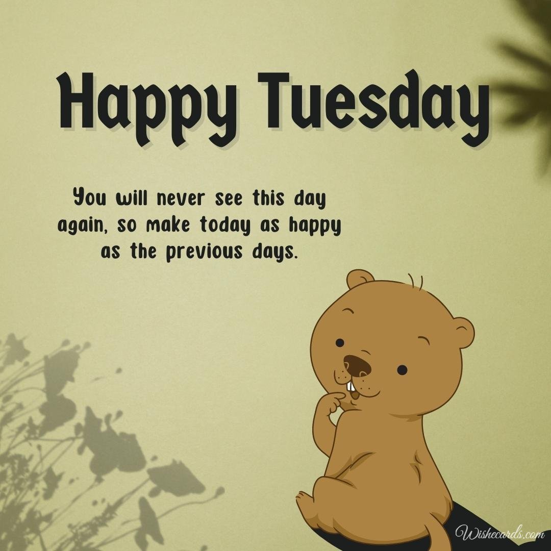 Happy Tuesday Funny Wishes Card