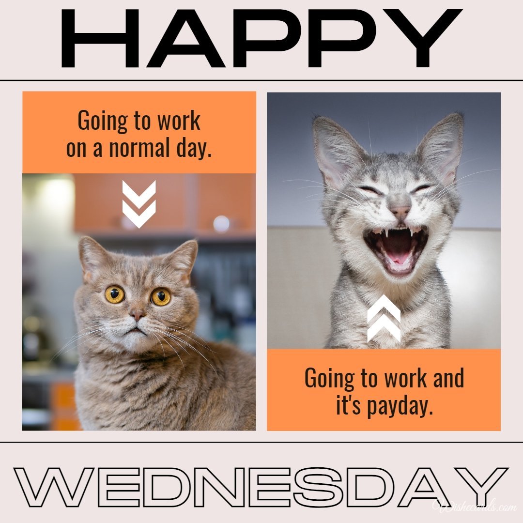 Happy Wednesday Funny Picture with Text