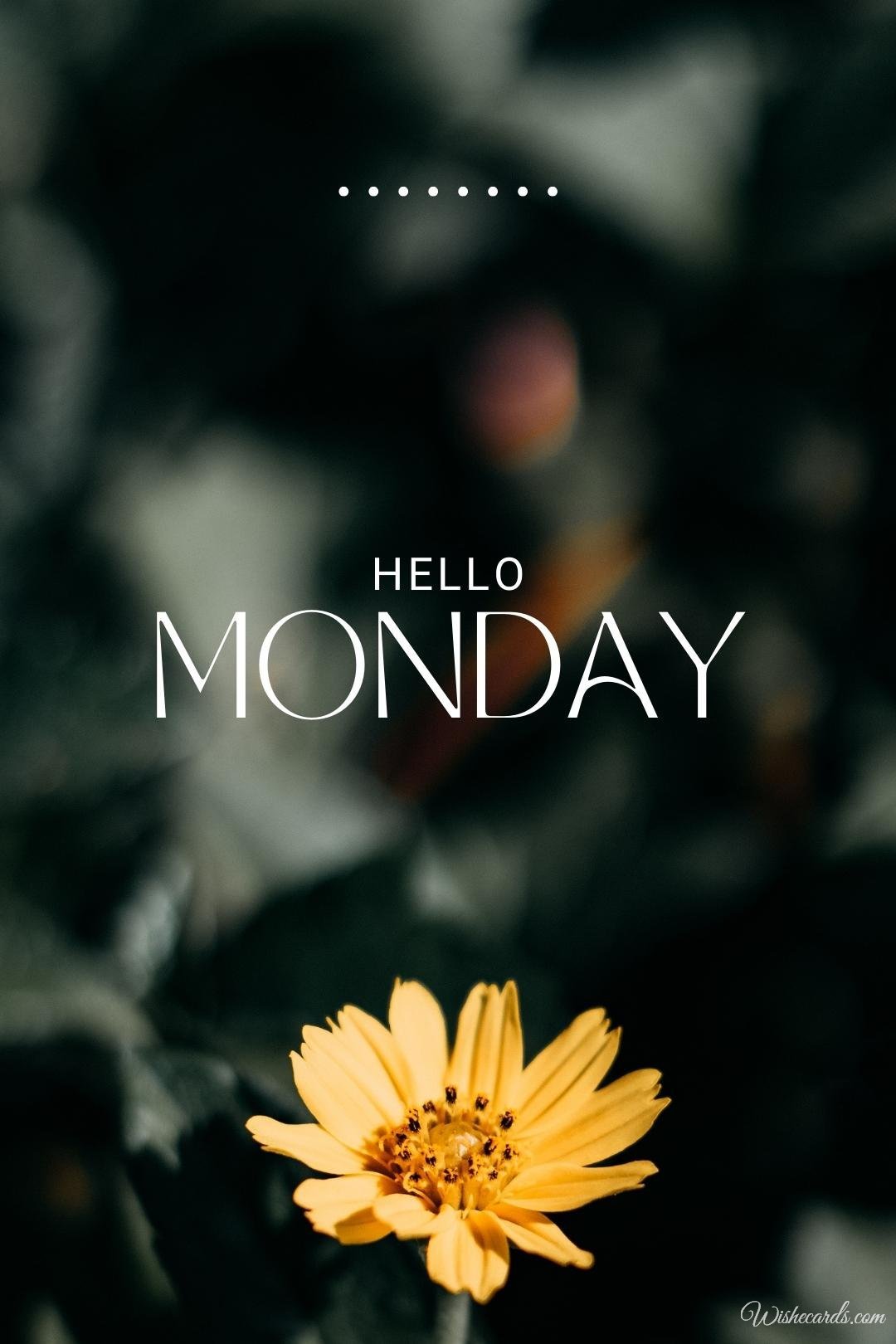 Hello Monday Ecard with Flower