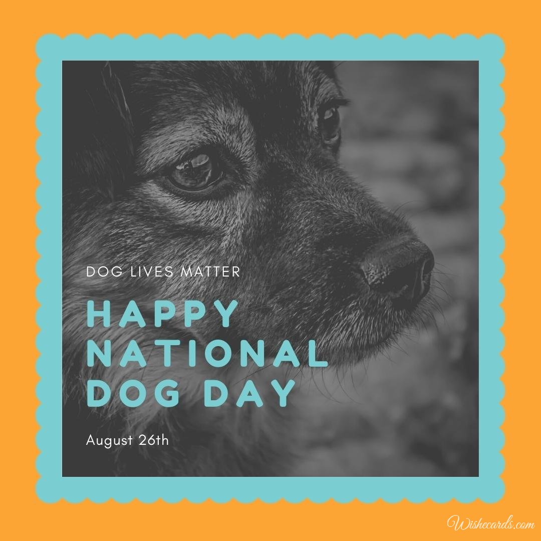 Inspiring National Dog Day Card