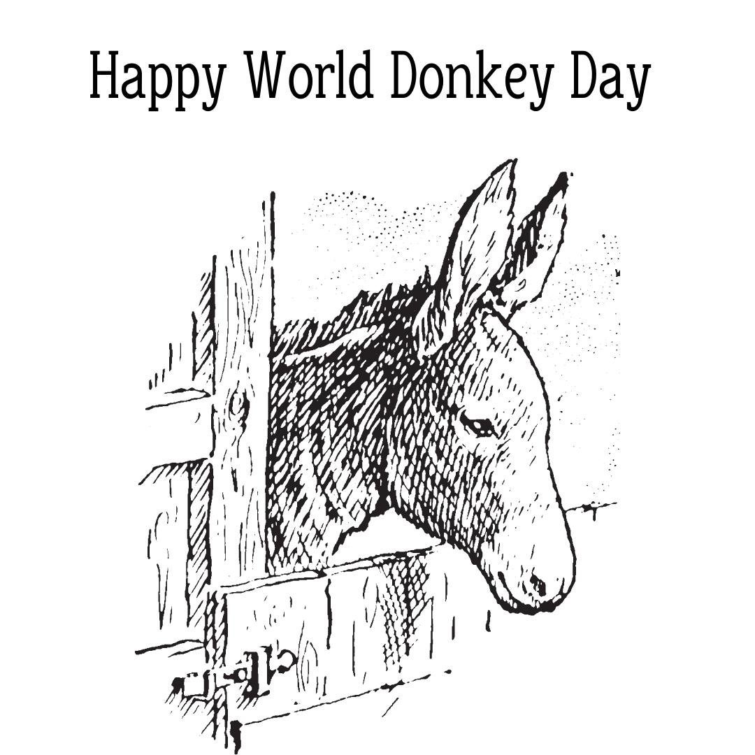 Inspiring World Donkey Day Card