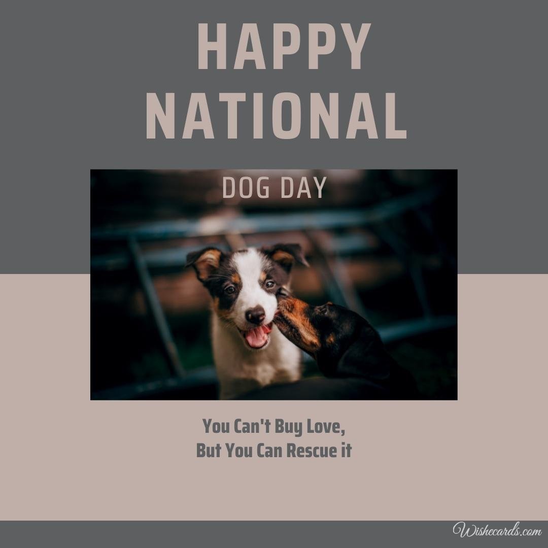 National Dog Day Virtual Image
