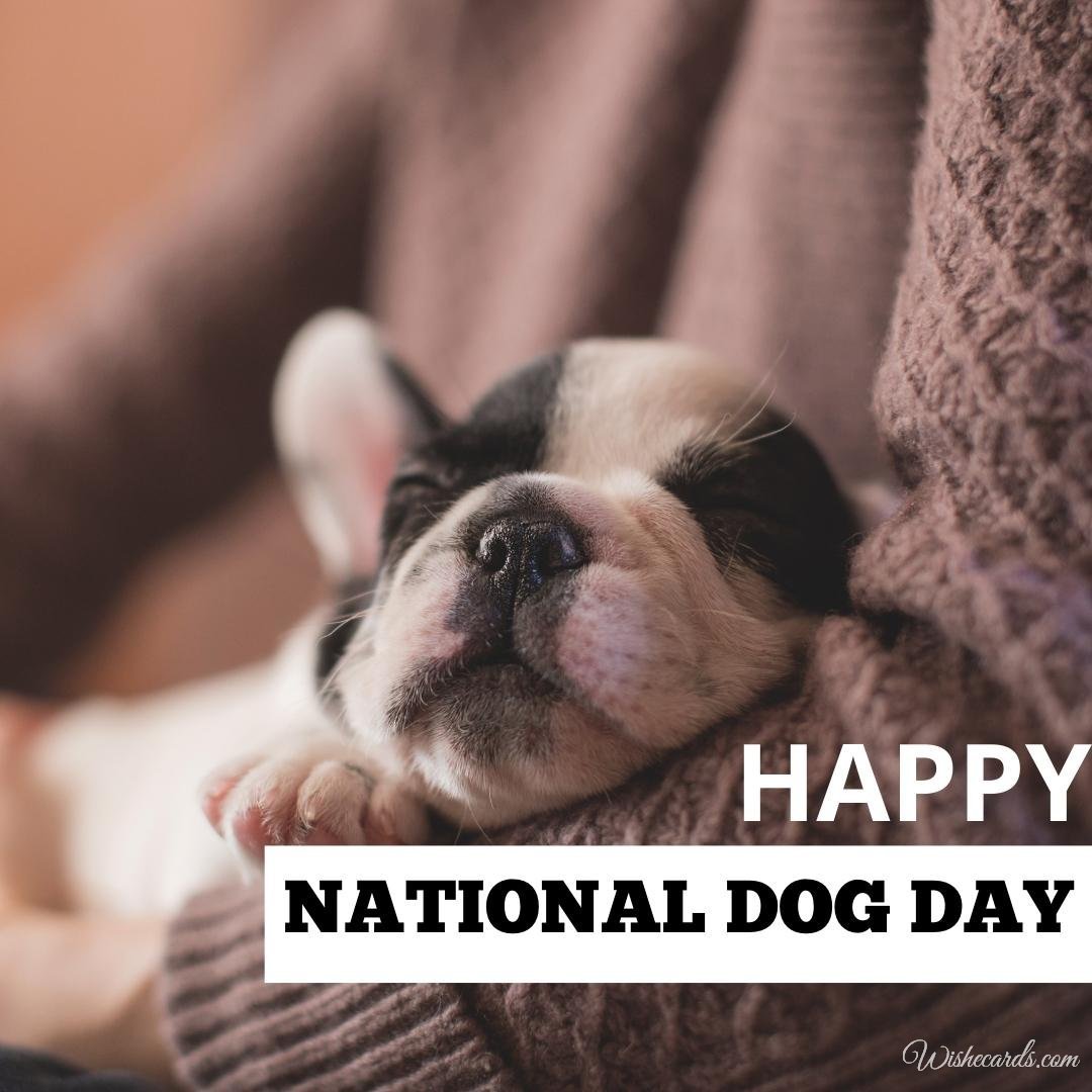 National Dog Day Wishes Ecard