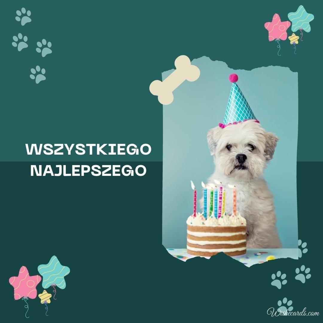 Polish Funny Birthday Ecard