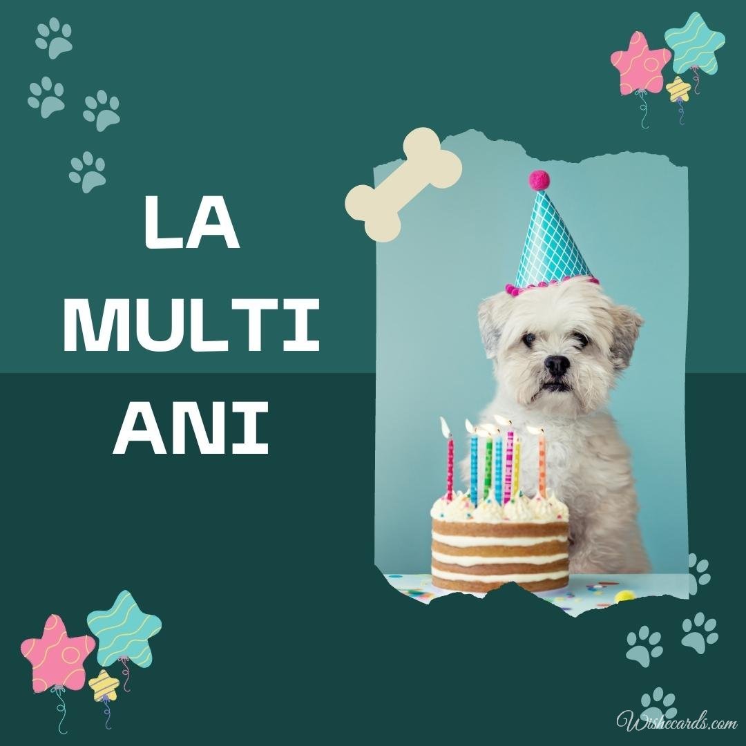 Romanian Funny Birthday Ecard