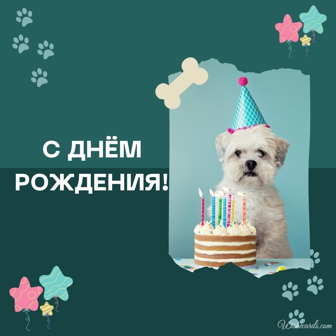 Russian Funny Happy Birthday Ecard