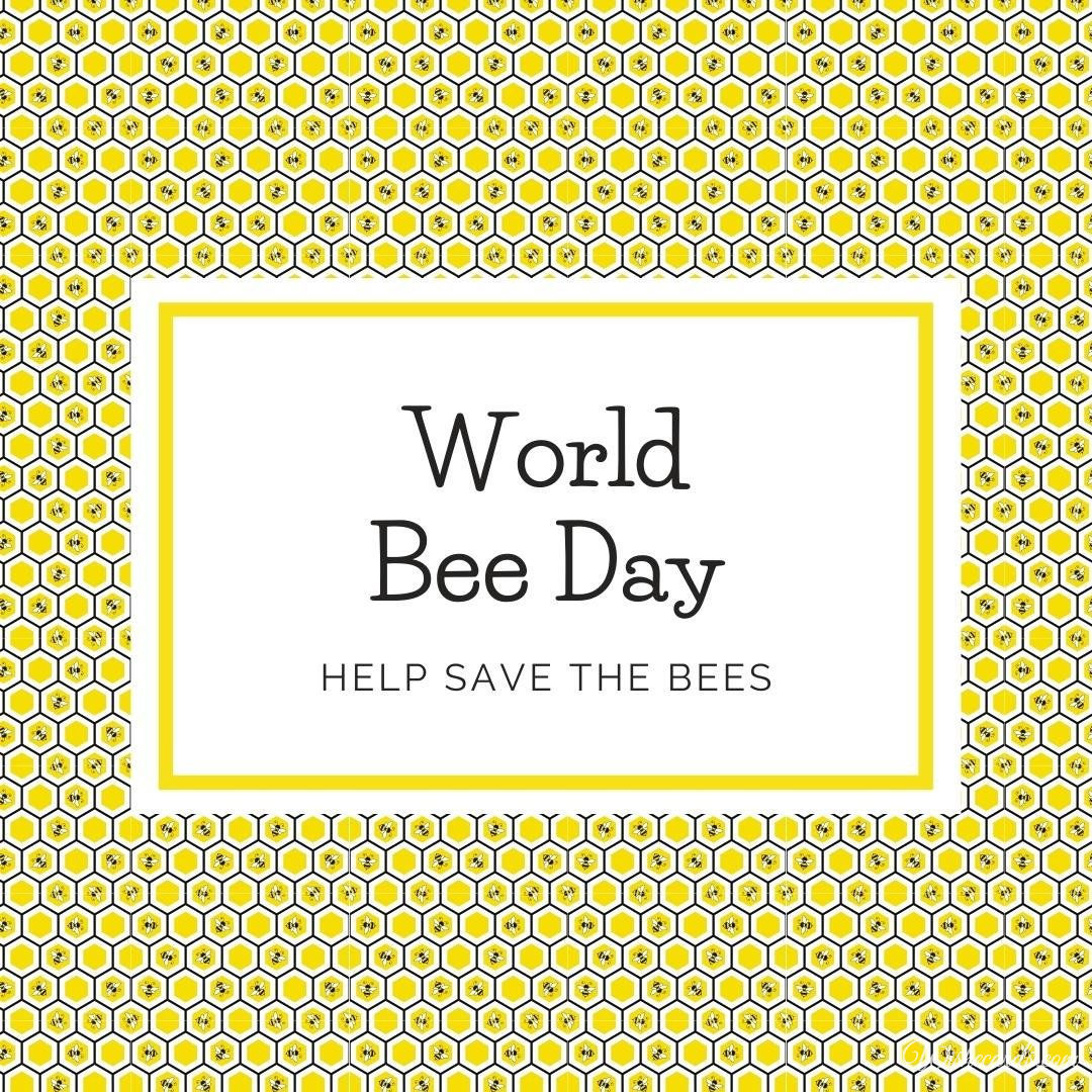 World Bee Day Picture With Text