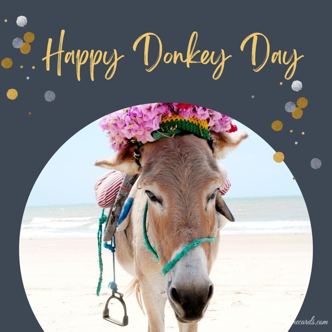 World Donkey Day Card
