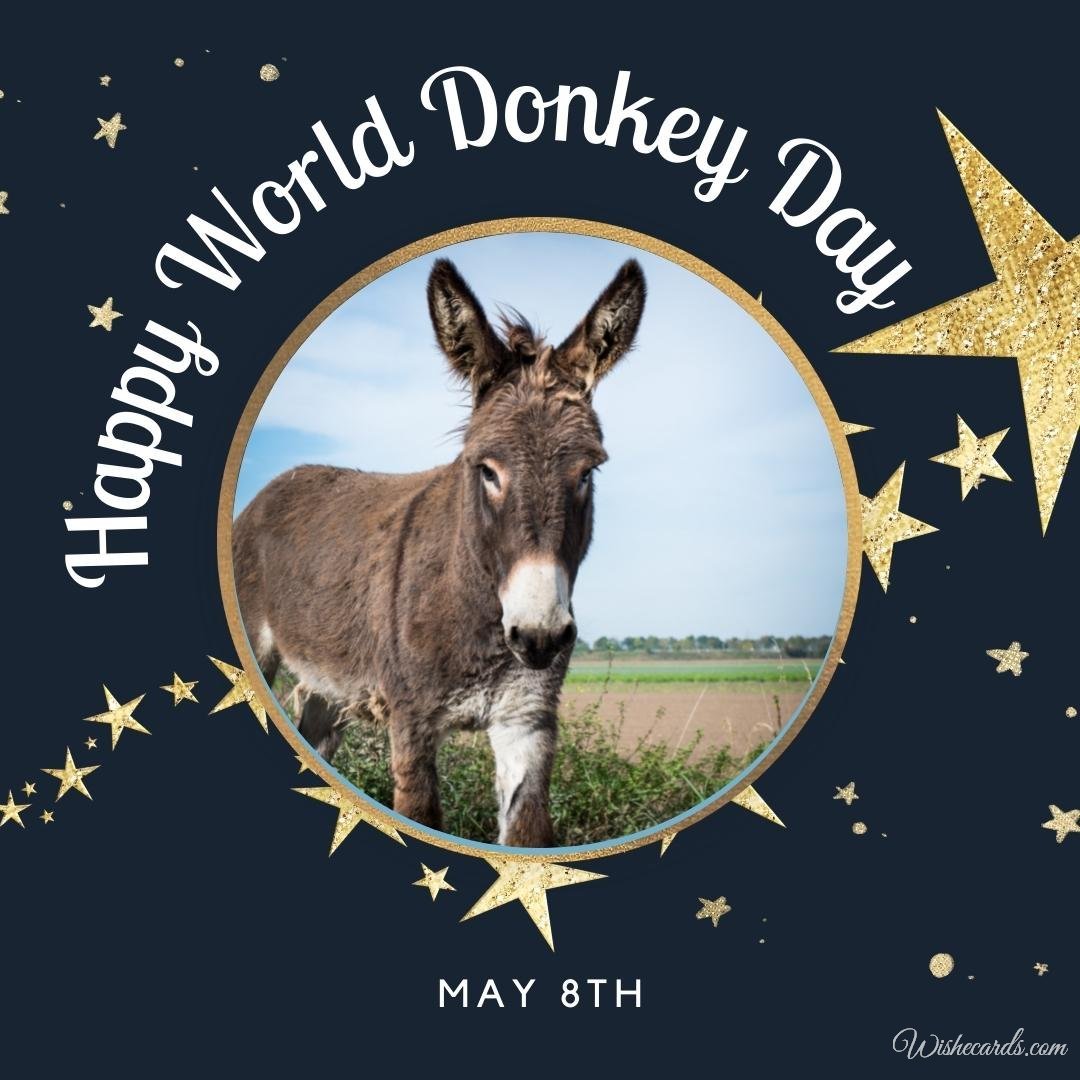 World Donkey Day Picture With Text